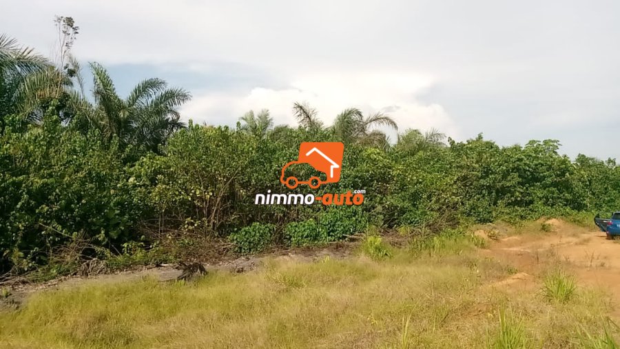 Terrain titré à vendre à Dibamba