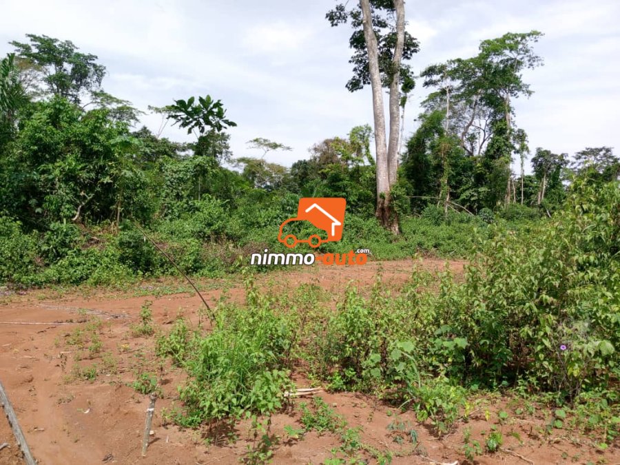 Terrain titré et loti à vendre à Awae village