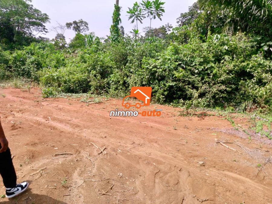 Terrain titré et loti à vendre à Awae village