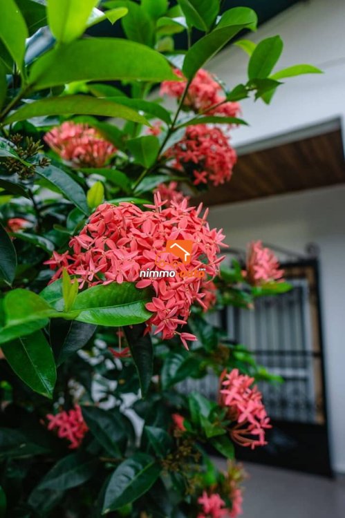 Magnifique suite à louer à Kribi Ebome en bordure de plage et de piscine