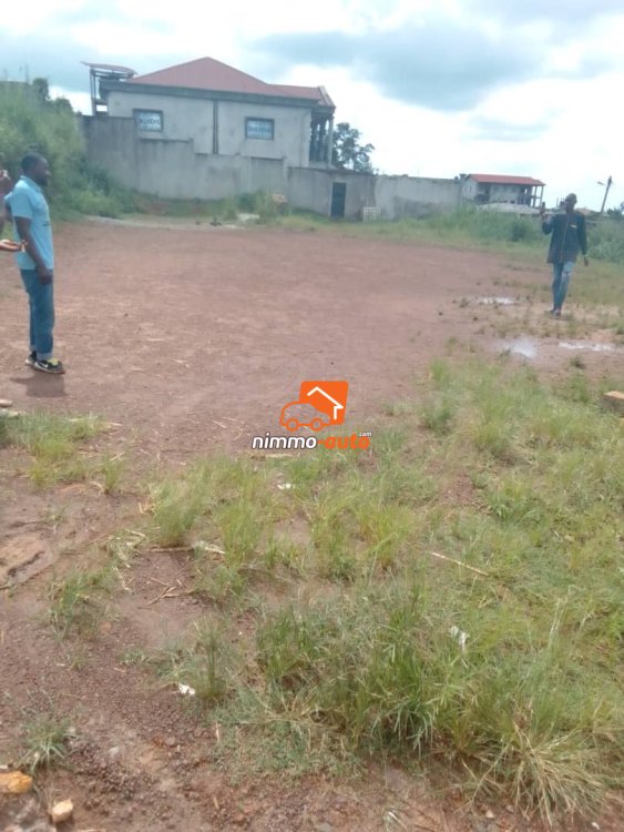 Terrain d'habitation à vendre à Odza Mehandan 1