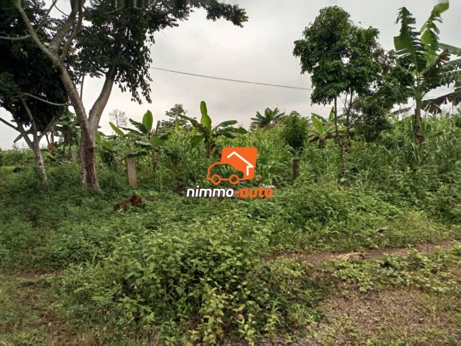 Terrain à vendre à Nsimalen Benebalot