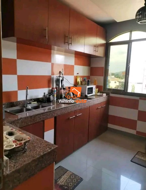 Appartement meublé à louer à Nkolbisson ydé