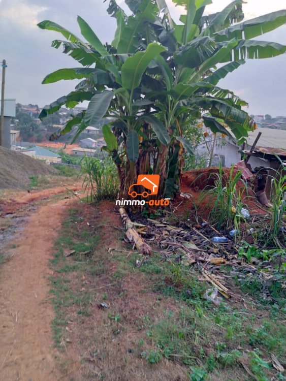 Terrain titré et bâti à vendre à Simbock