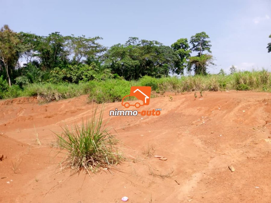 Terrain titré à vendre à Nkolnda