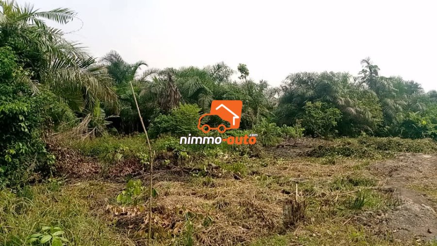 Terrain titré à vendre à Douala Bonaberi