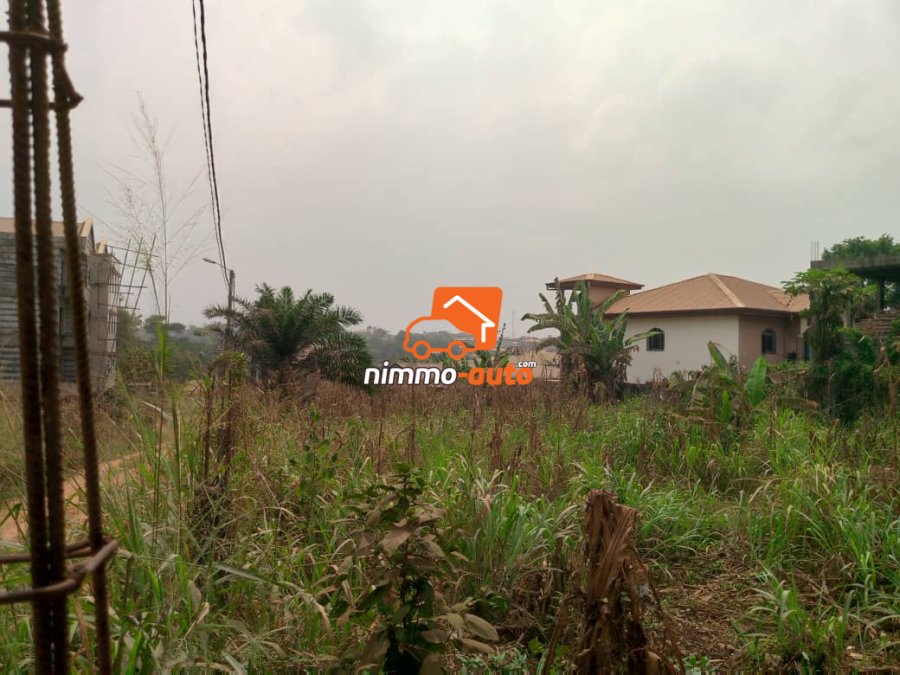 Terrain titré à vendre à Odza fecafoot