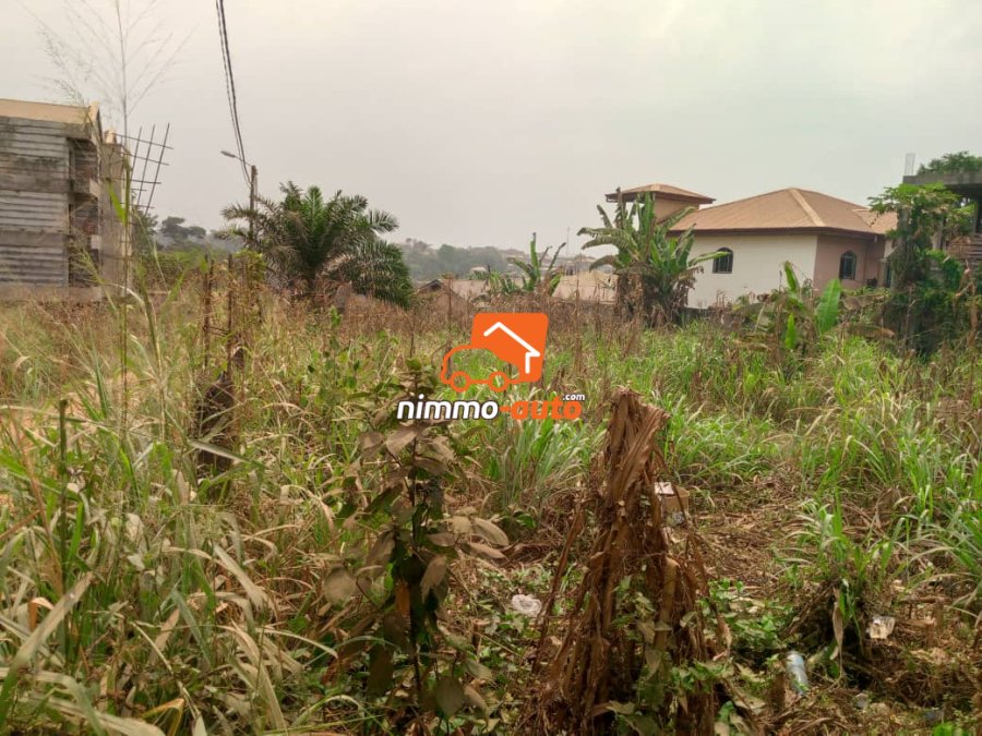 Terrain titré à vendre à Odza fecafoot