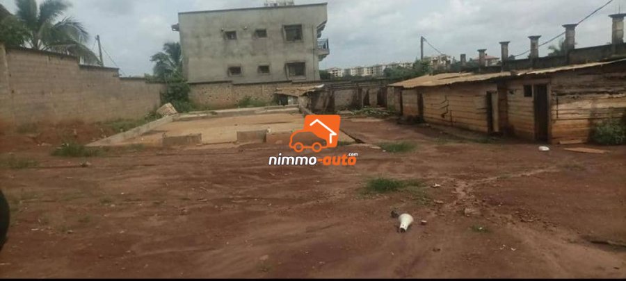 Bon terrain à louer à Émana