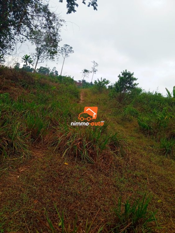 Terrain titré à vendre à Londji