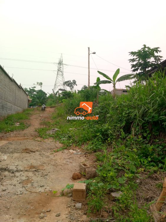 Terrain à vendre à Odza derrière fecafoot