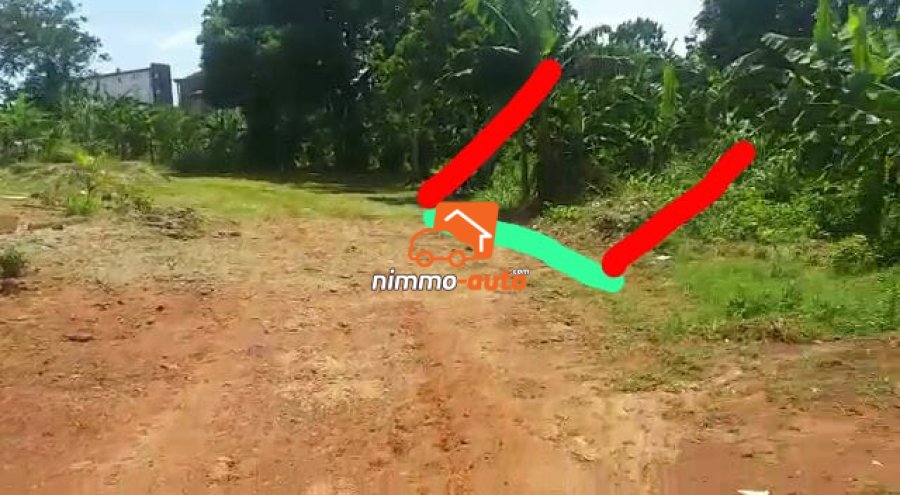 Terrain titré à vendre à Odza borne 12