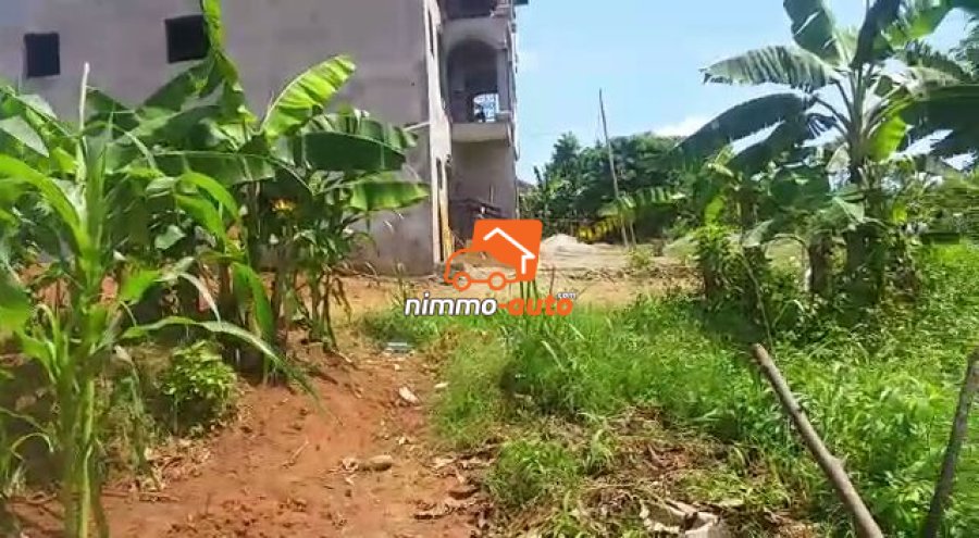 Terrain titré à vendre à Odza borne 12