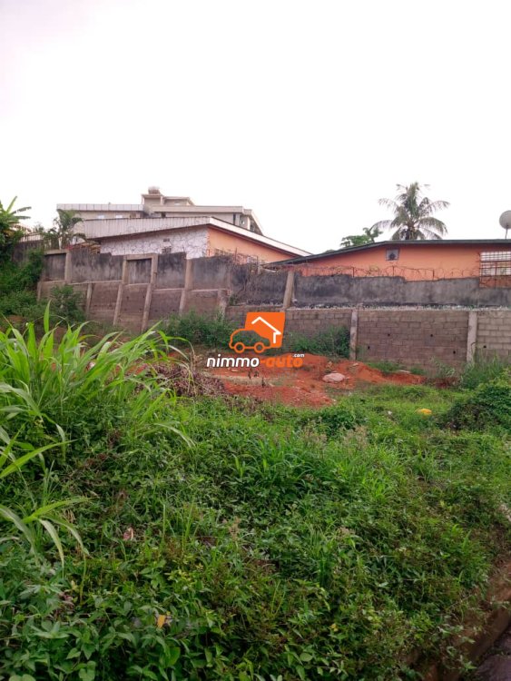 Terrain titré à vendre à omnisports