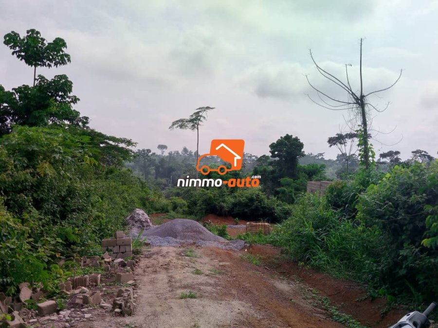 Terrain à vendre à Nsimalen