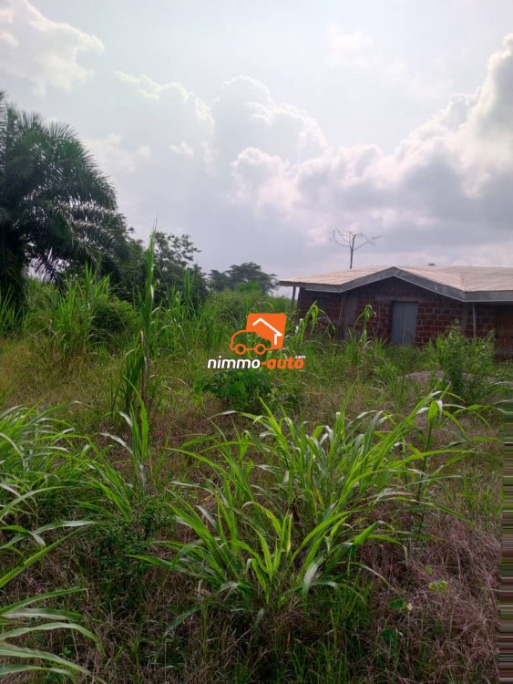 Terrain titré à vendre à Nsimalen benebalot