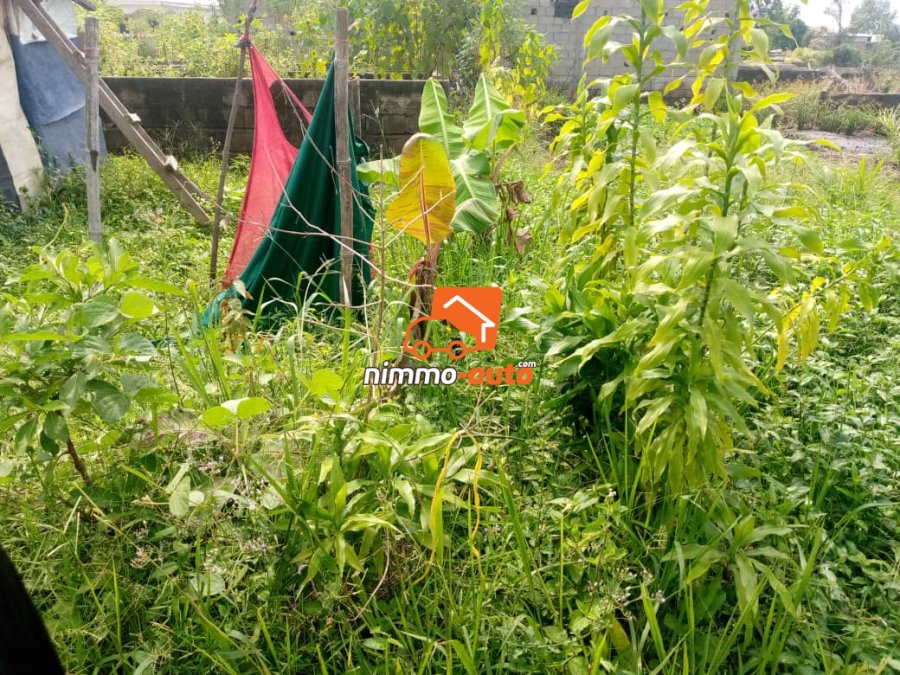 Terrain résidentiel à vendre à Bojongo à Douala