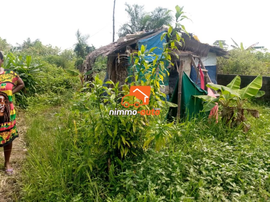 Terrain résidentiel à vendre à Bojongo à Douala