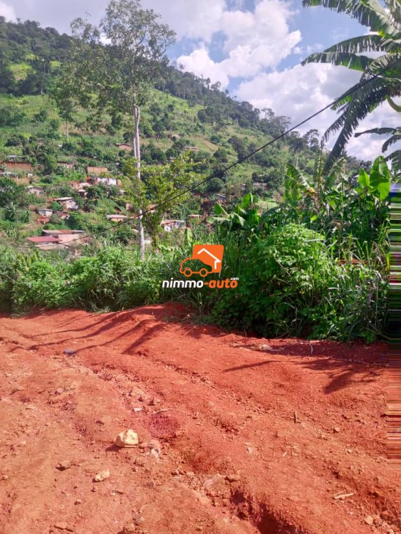 Terrain titré à vendre à Odza plaque LNB