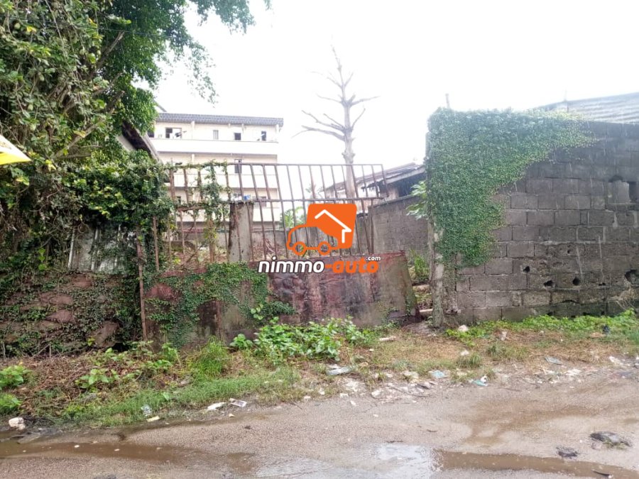 Terrain titré de 400m² à vendre à Bonaberi