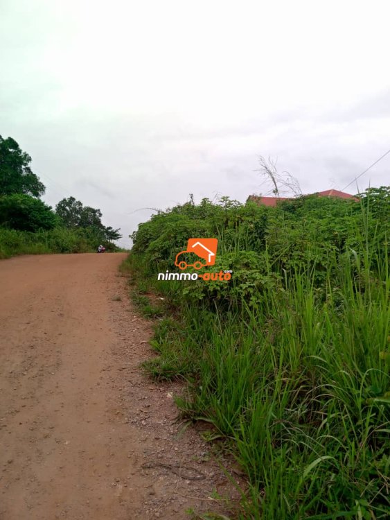 Terrain titré bien placé à vendre à Nyom