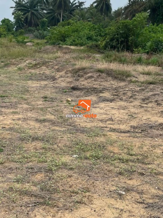 Terrain titré à vendre à Kribi sur l'axe du port