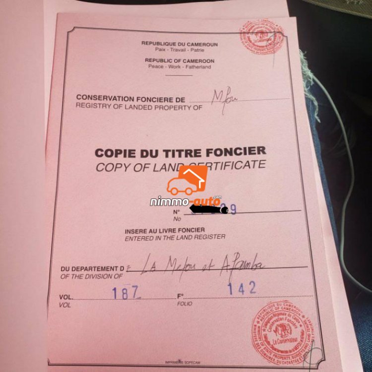 Magnifique terrain titré et loti  à vendre à Mfou