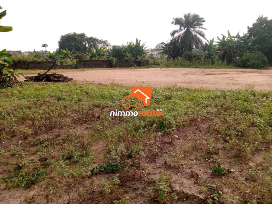 Terrain commercial à vendre à Logbaba