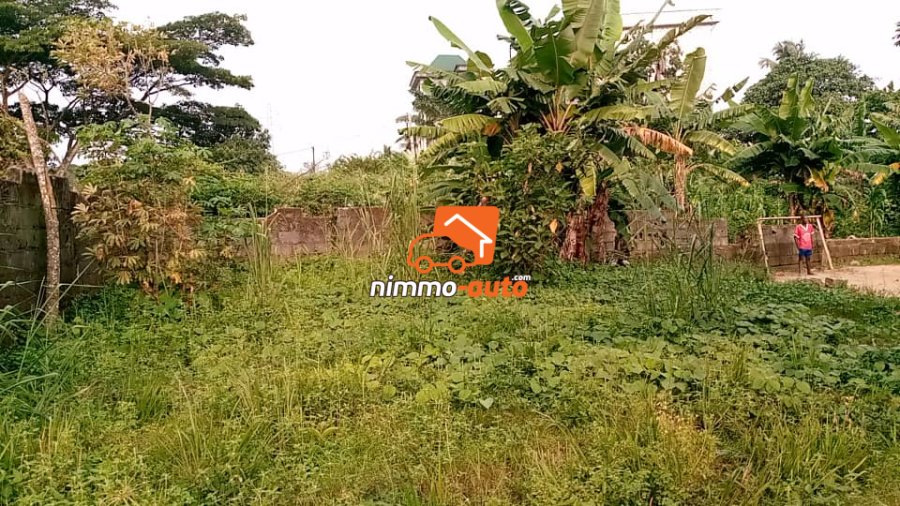 Terrain commercial à vendre à Logbaba