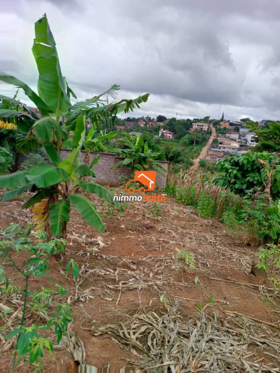 Terrain à vendre à Odza Ekoumdoum