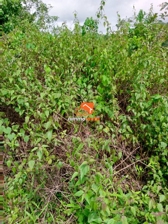Terrain d'habitation à vendre à Eyang