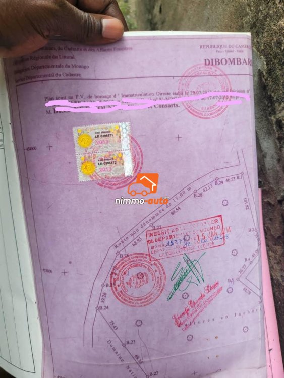 Terrain titré à vendre à Bekoko Douala