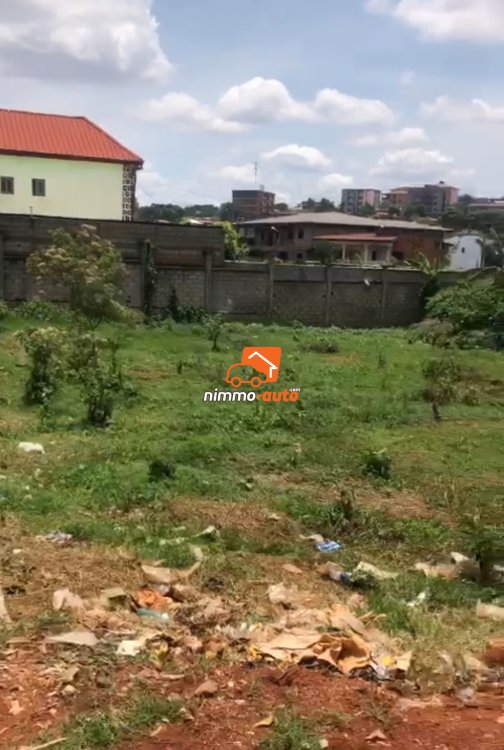 Terrain titré à vendre à omnisports