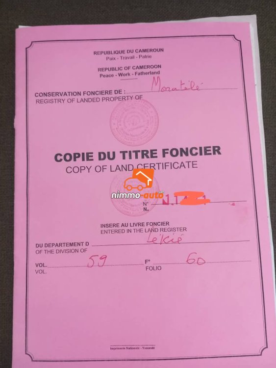 Terrain à vendre à Nyom Nkomndamba