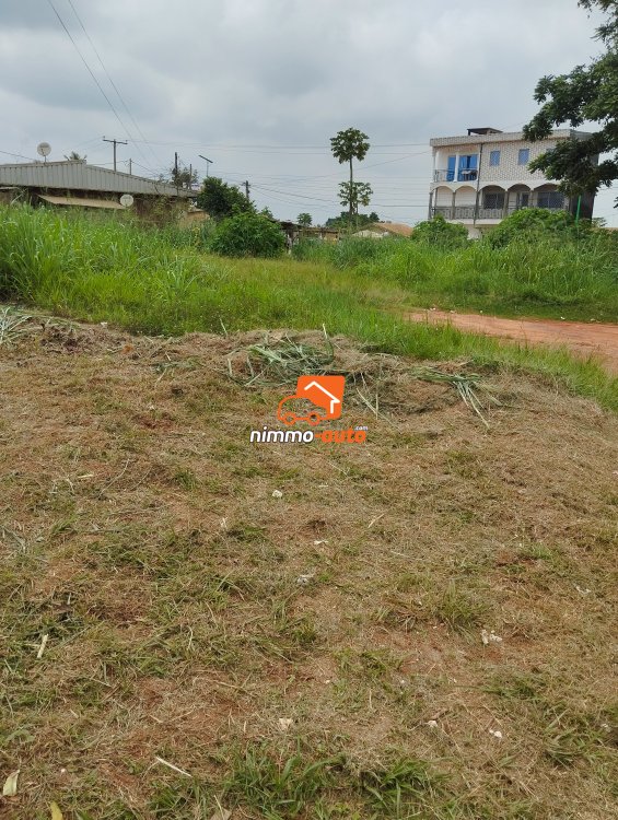 Terrain titré à caractère commercial à vendre bon prix