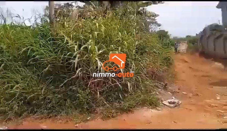 Terrain titré et bien placé à vendre à Nyom