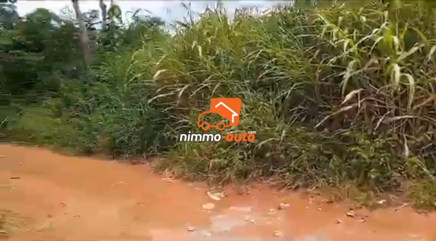 Terrain titré et bien placé à vendre à Nyom