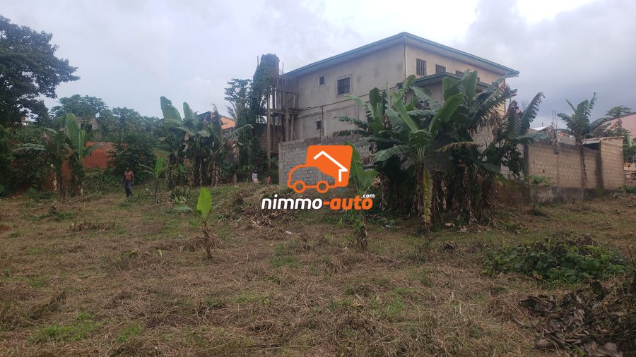 Terrain a vendre a Etoudi abatoire (nkolbong)