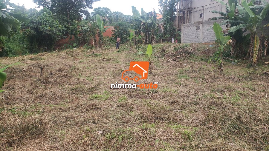 Terrain a vendre a Etoudi abatoire (nkolbong)