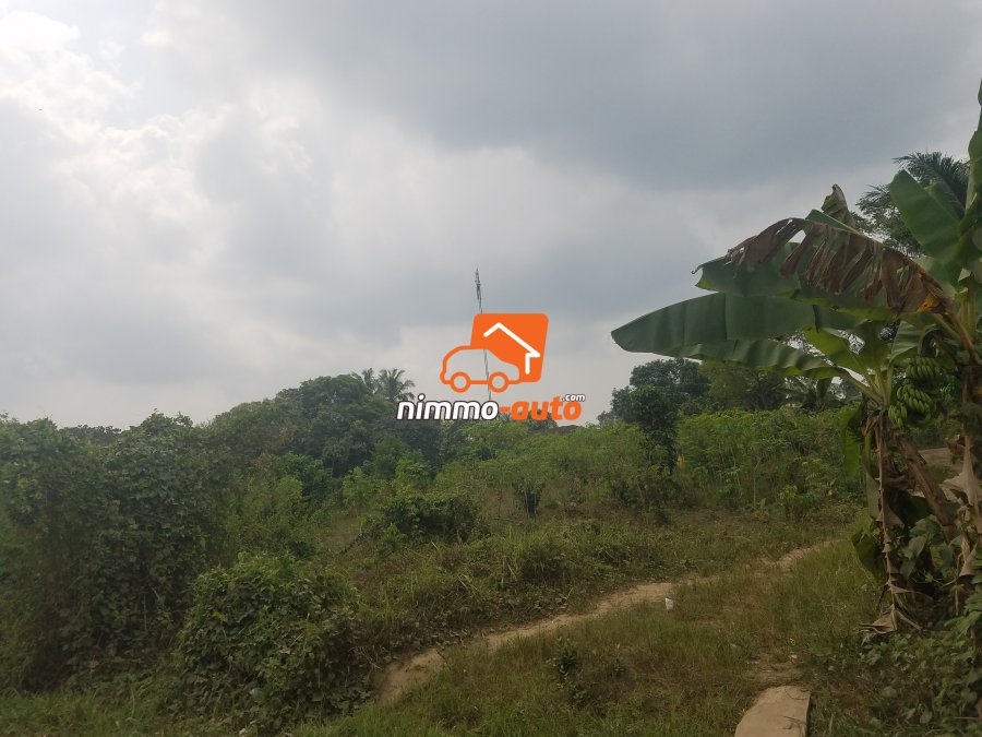 Terrain à vendre à Bonabéri