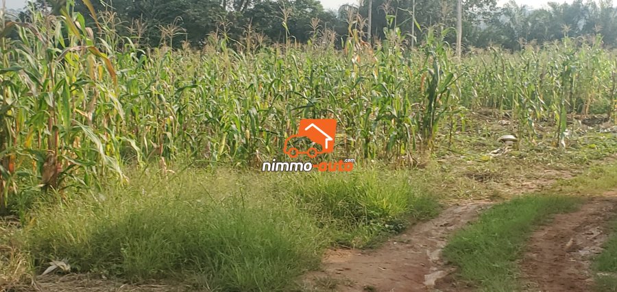 Terrain à vendre à Nkolnda