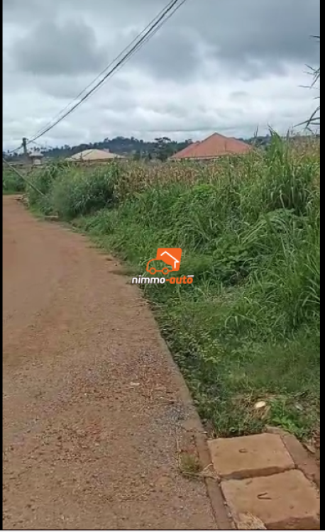 Terrain titré et bien placé à vendre à Nkolnda