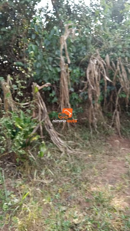 Terrain à vendre à Nyom