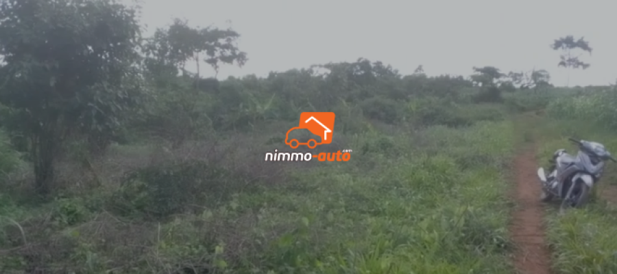 Terrain à vendre à Nyom