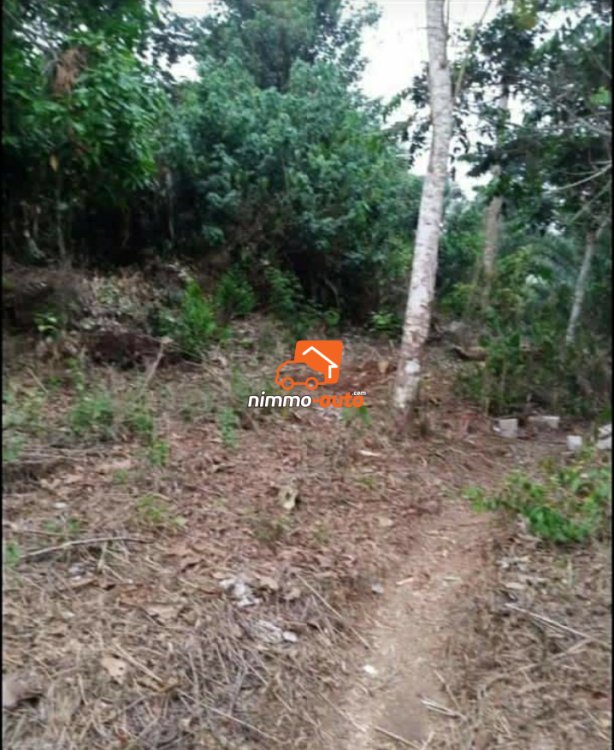 Terrain à vendre à Nkolbisson