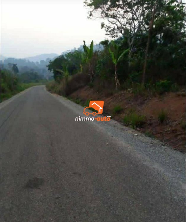 Terrain à vendre à Nkolbisson