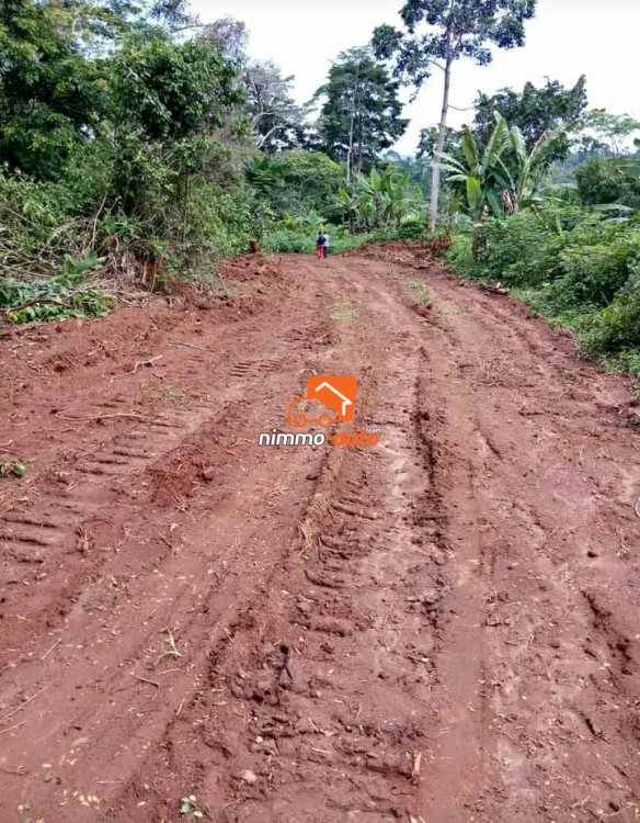 Terrain à vendre à Nkolbisson