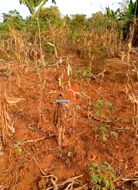 Terrain à vendre à Nkolfoulou