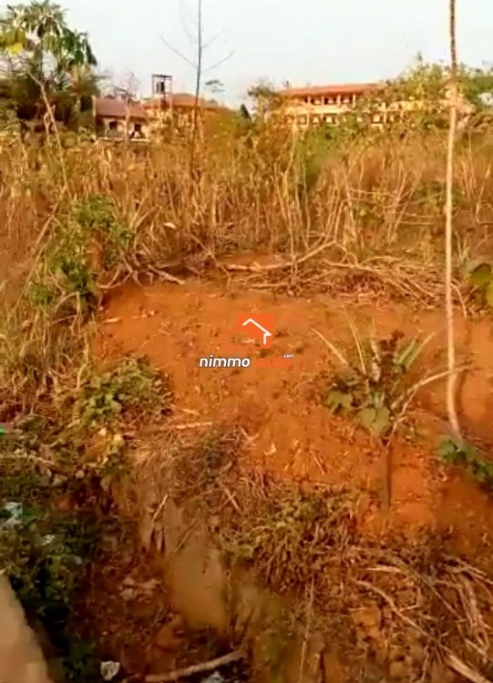 Terrain à vendre à Nkolfoulou