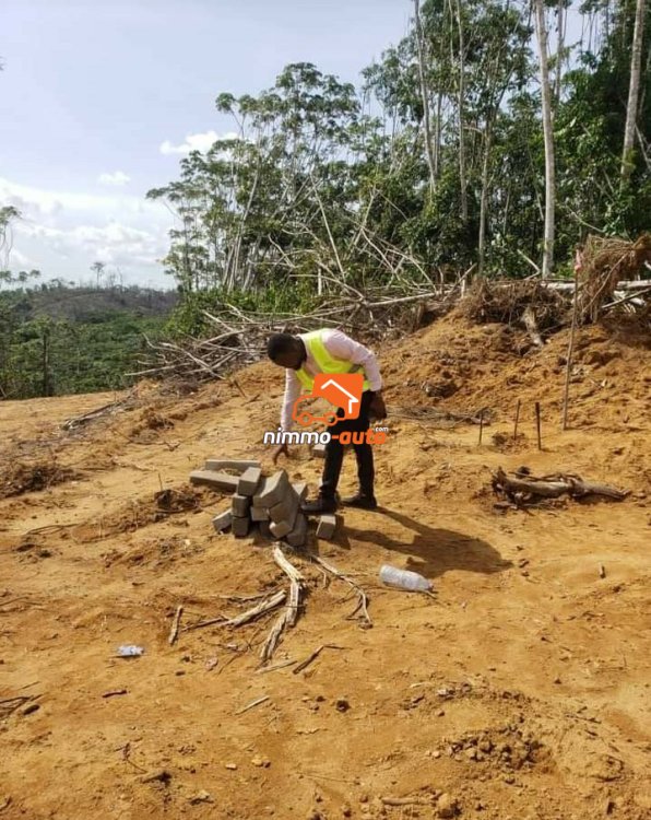 KENDEK (après le pont sur la DIBAMBA en venant de YASSA DOUALA )